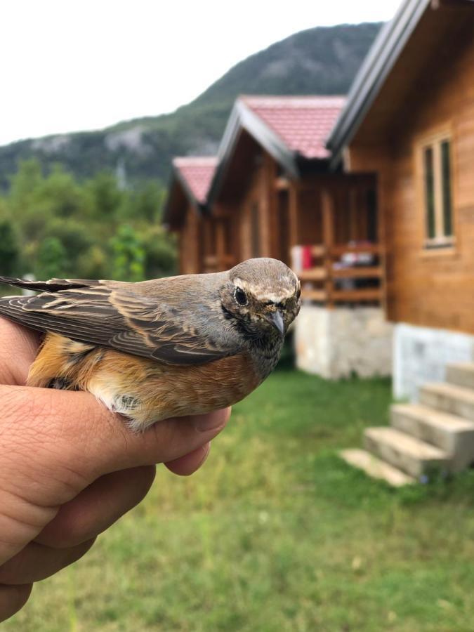 Orahovo Деревянный коттедж *